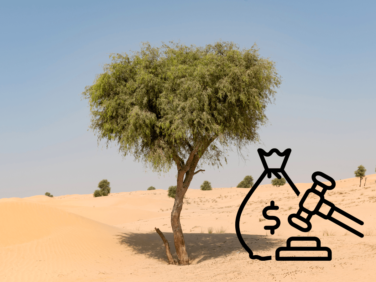 There's a new environmental fine in Abu Dhabi that could cost you Dhs10,000