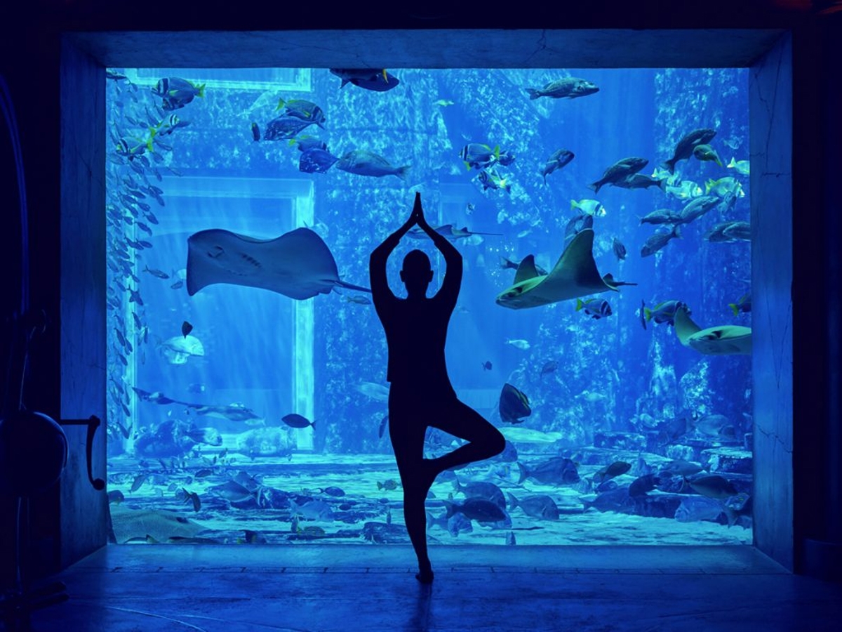 The best indoor activities to try in Dubai