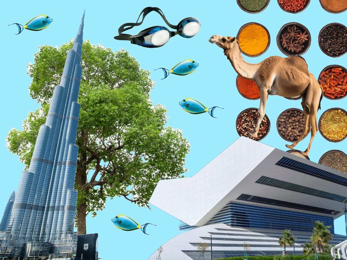 50 free things to do in Dubai in 2025: Your ultimate bucket list