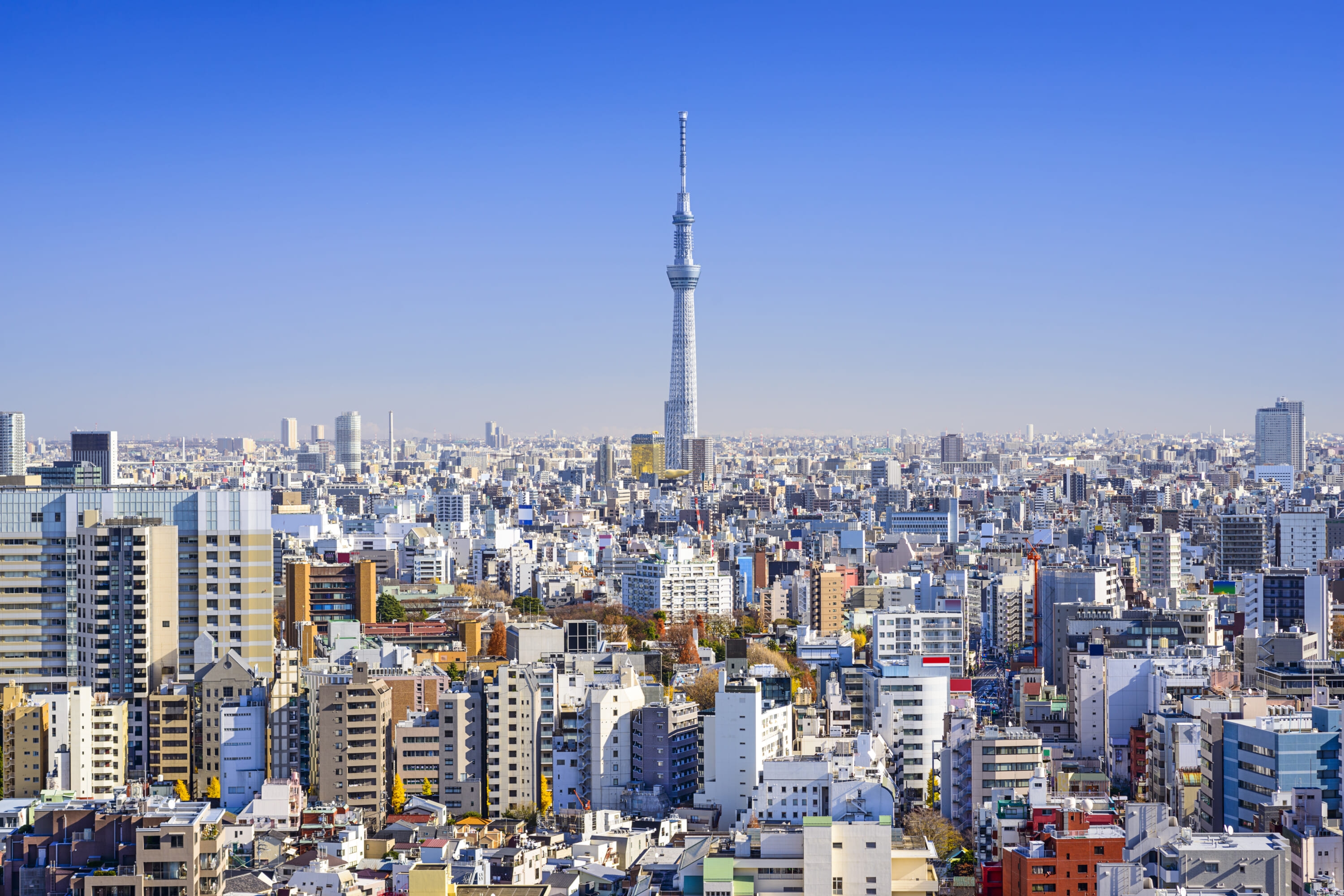 The Best Things To Do in Tokyo This Month: August 2025