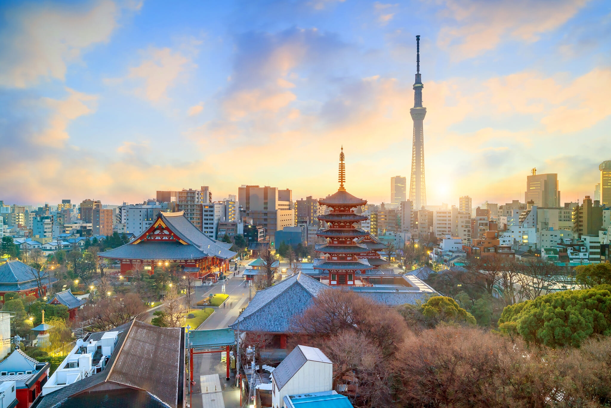 The Best Things To Do in Tokyo This Month: May 2025