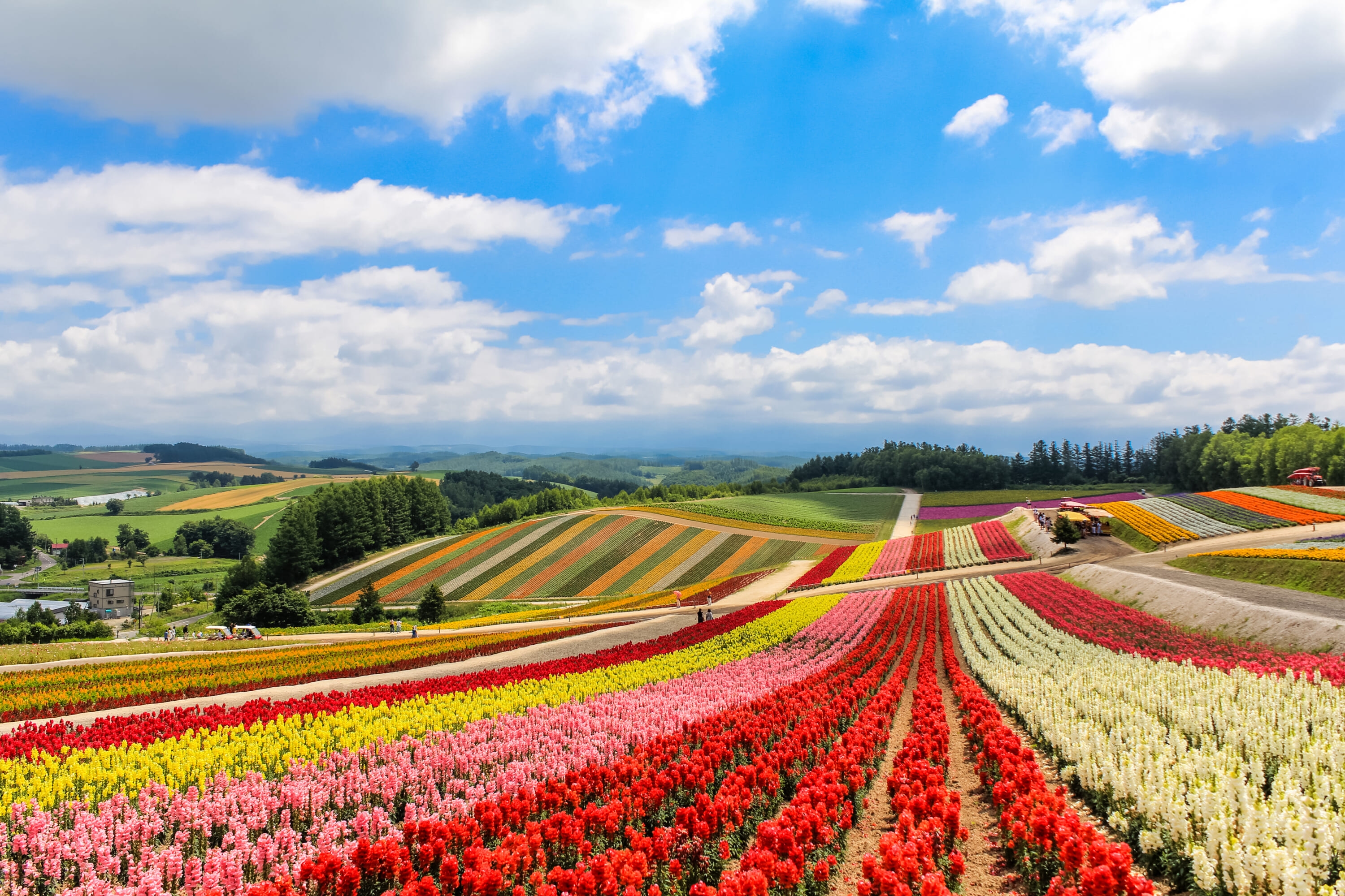 Japan in May: The Best Things To Do and Places To Visit