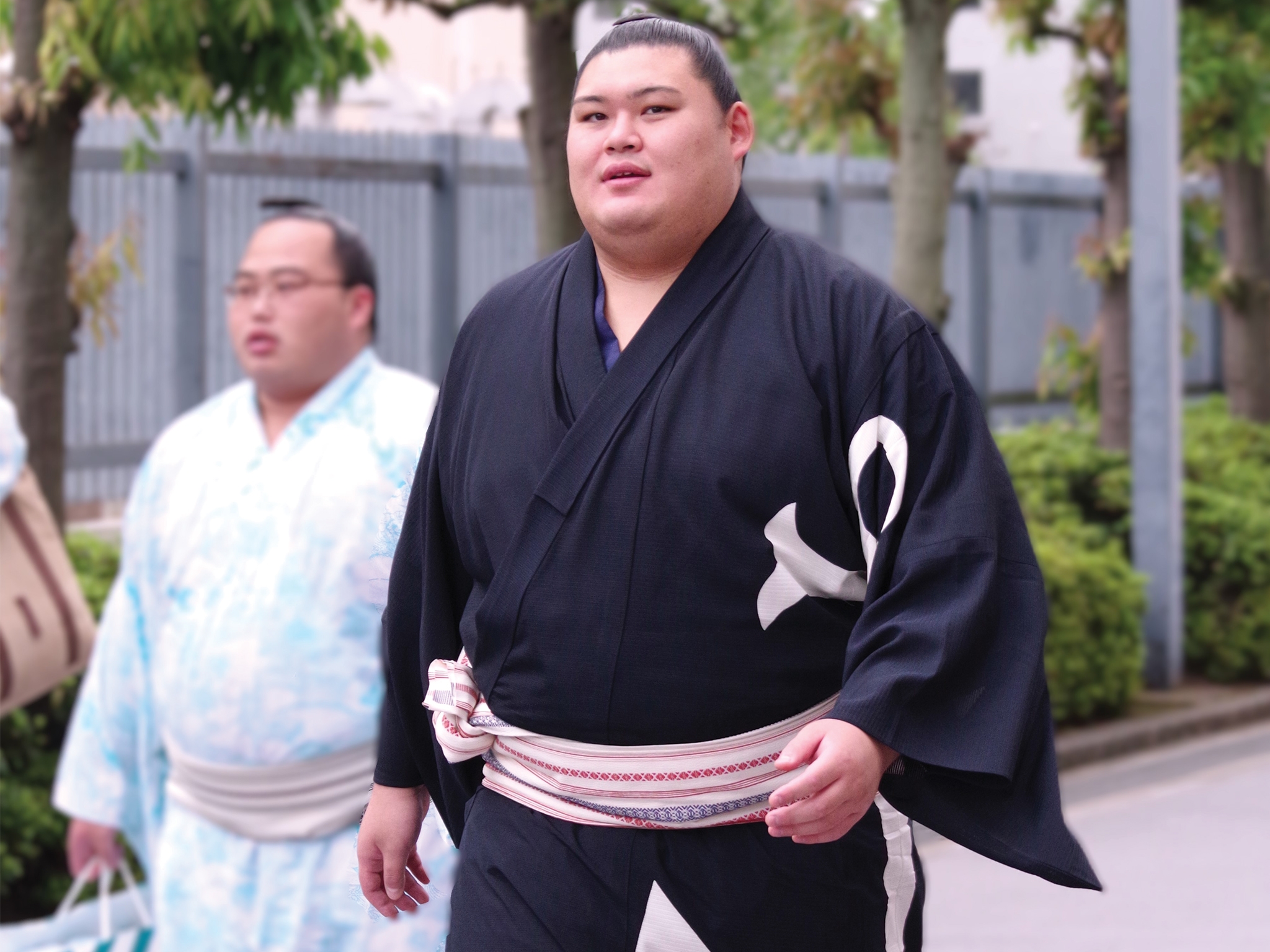 Introducing Onosato: Japan's Record-Breaking Yokozuna Grand Champion