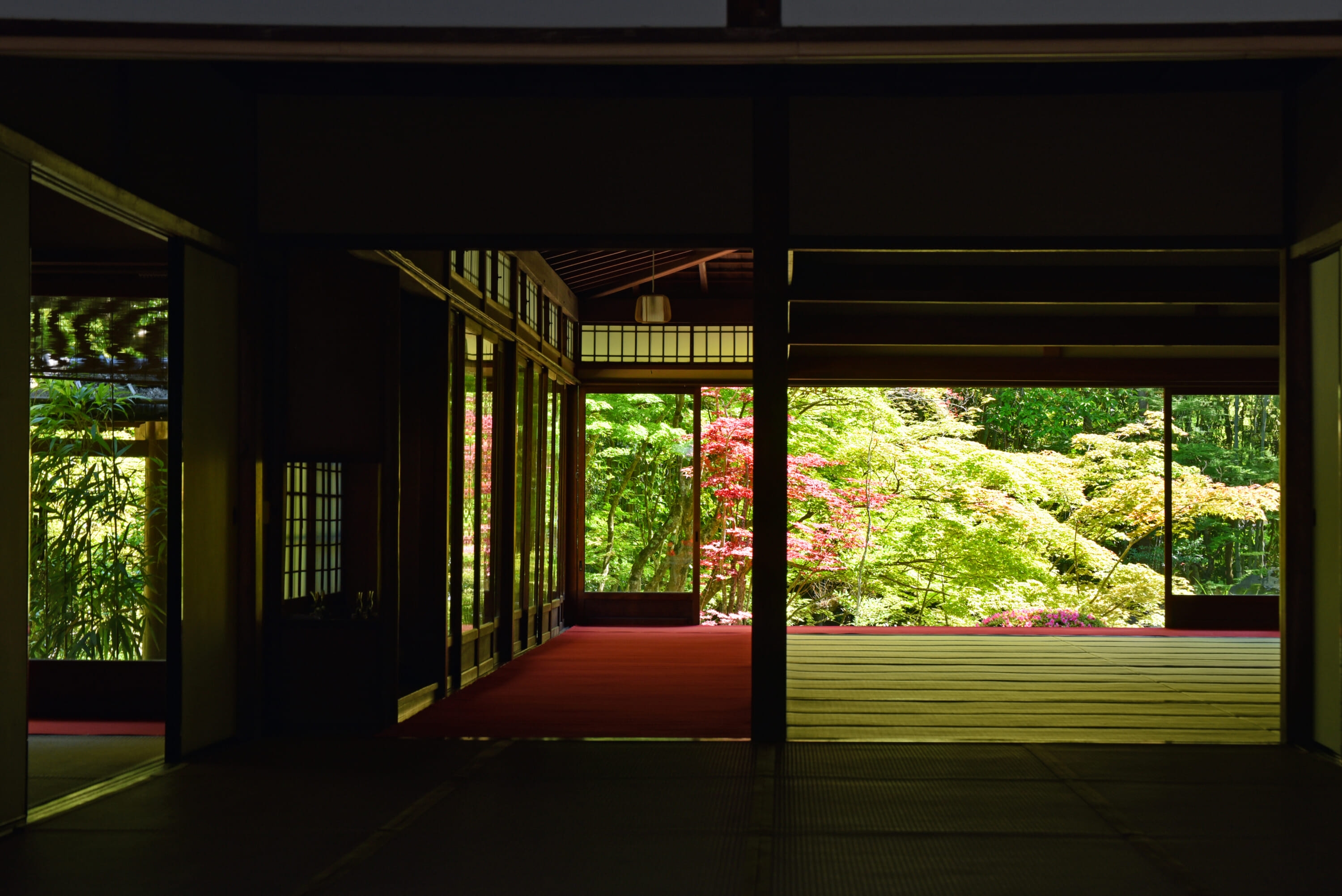 A Kyoto Itinerary That Skips the Crowds, Not the Culture