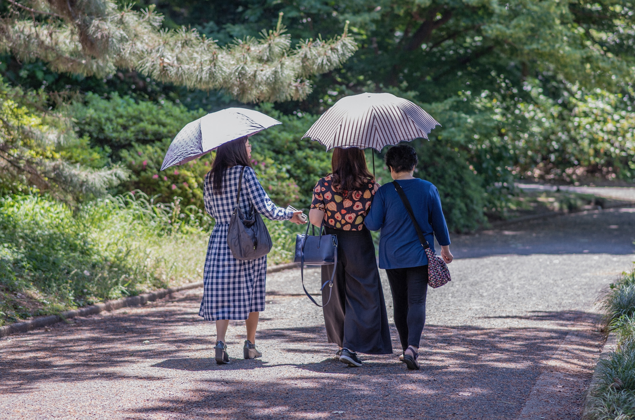 Brace Yourself: Tokyo Hits 30 Degrees for the First Time in 2025