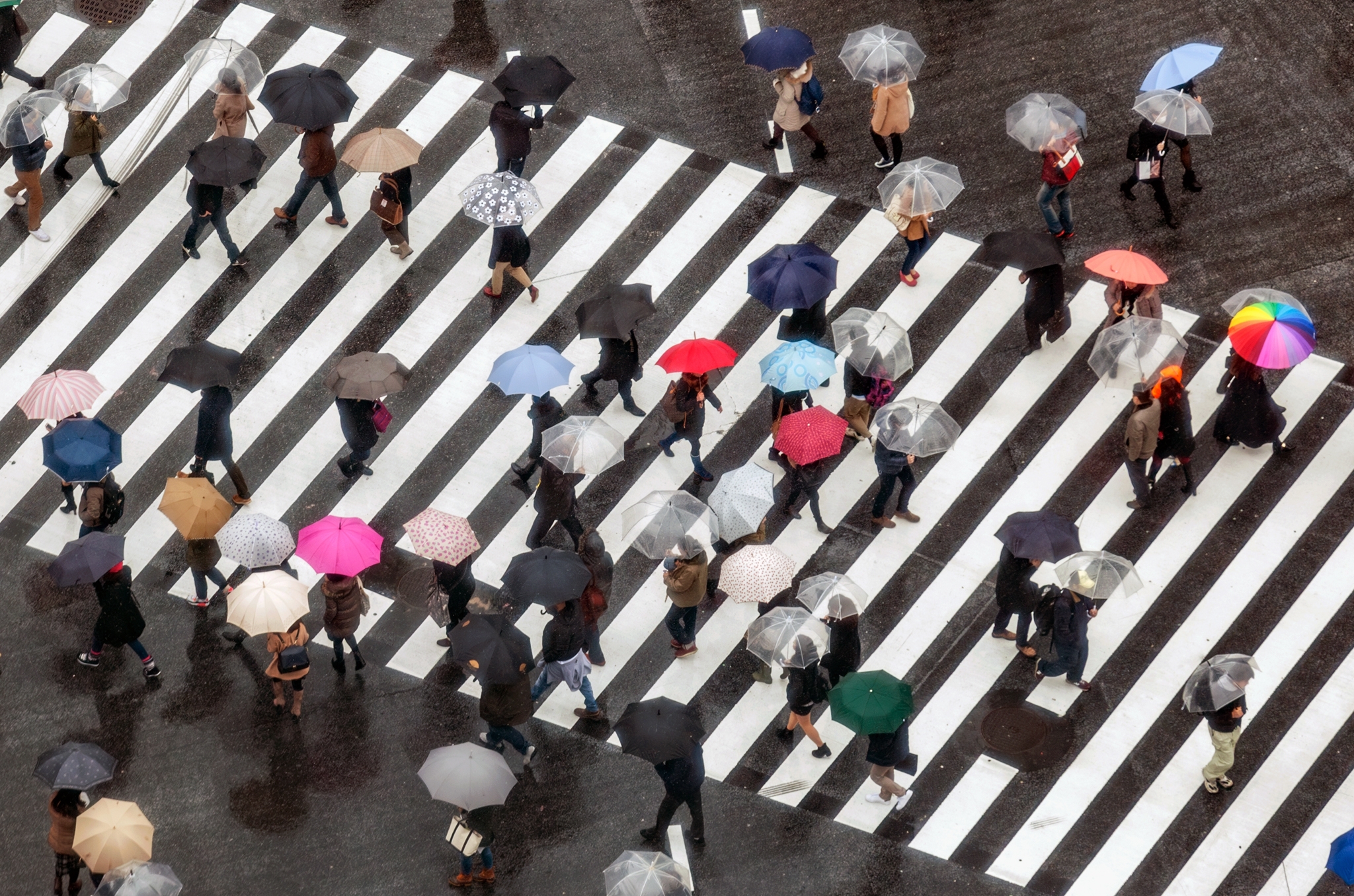 Navigating Japan's Rainy Season: A Guide to Tsuyu