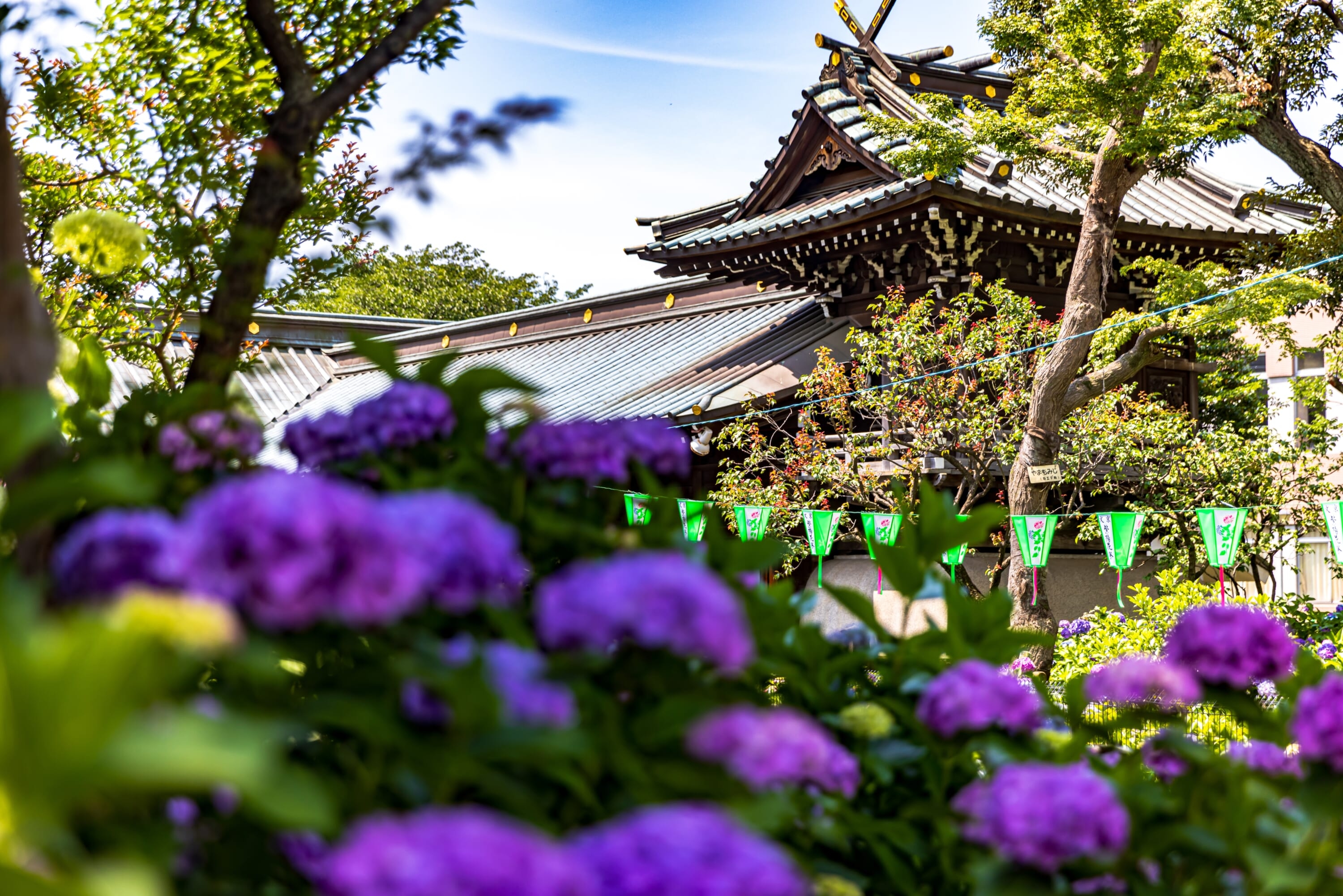 The Best Things To Do in Tokyo This Month: June 2025
