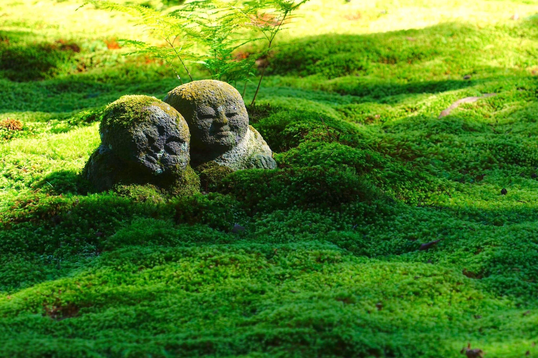 A New ‘Moss Passport' Will Take You to Kyoto's Hidden Moss Temples