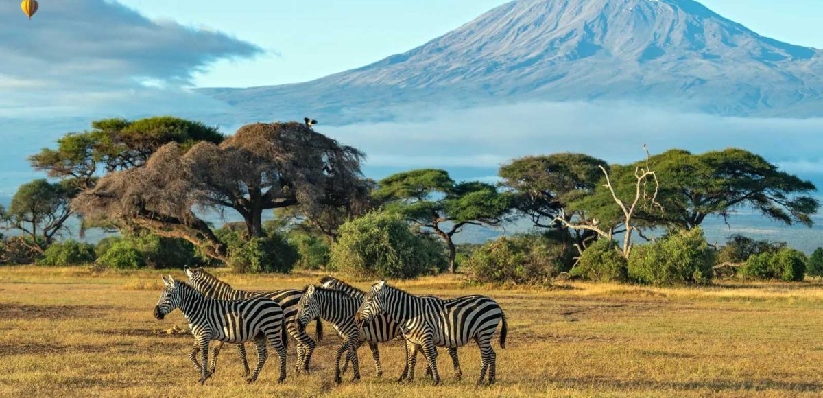 Kenya and Rwanda's travel sector shows record income in 2025