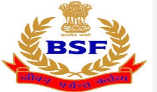 115 arrested, Rs. 11.7 crore goods seized by BSF Meghalaya Frontier