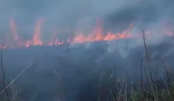 China issues orange alert for forest fires