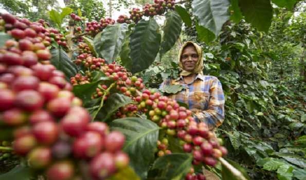 Kelachandra Coffee to present Indian brews at World of Coffee Jakarta