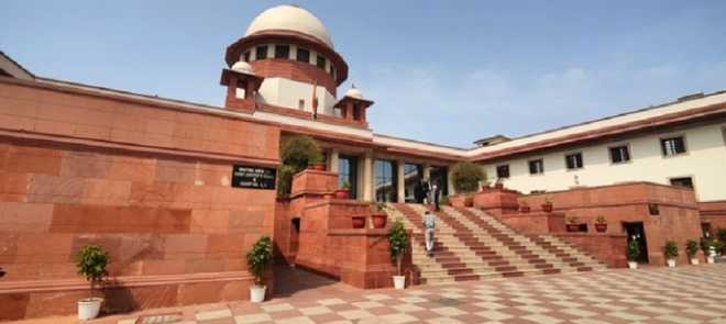 SC slams DDA for illegal tree felling in Delhi Ridge