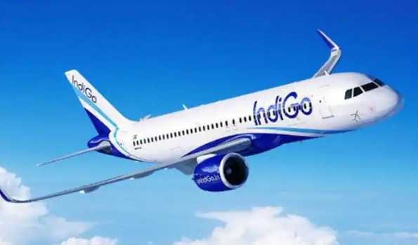 IndiGo to add 10 new global routes, says CEO