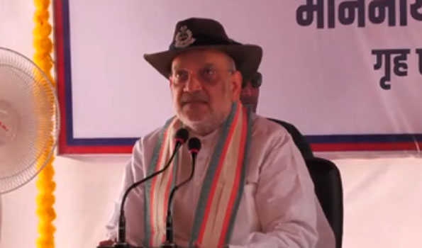 BSF destroyed over 118 Pak posts, dismantled surveillance system: Shah