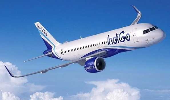 IndiGo won't sever ties with Turkish Airlines unless the Indian regulatory system orders: CEO