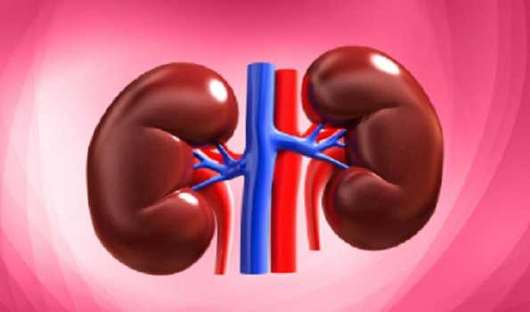 Kidney diseases on the rise in Himachal: Shimla tops with 39.9% cases