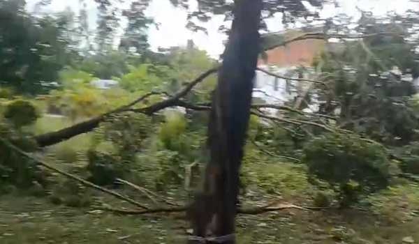 China issues yellow alert for Typhoon Wutip