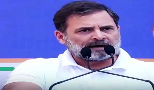Rahul Gandhi marks 1 yr as LoP, reaffirms commitment to Constitution and people