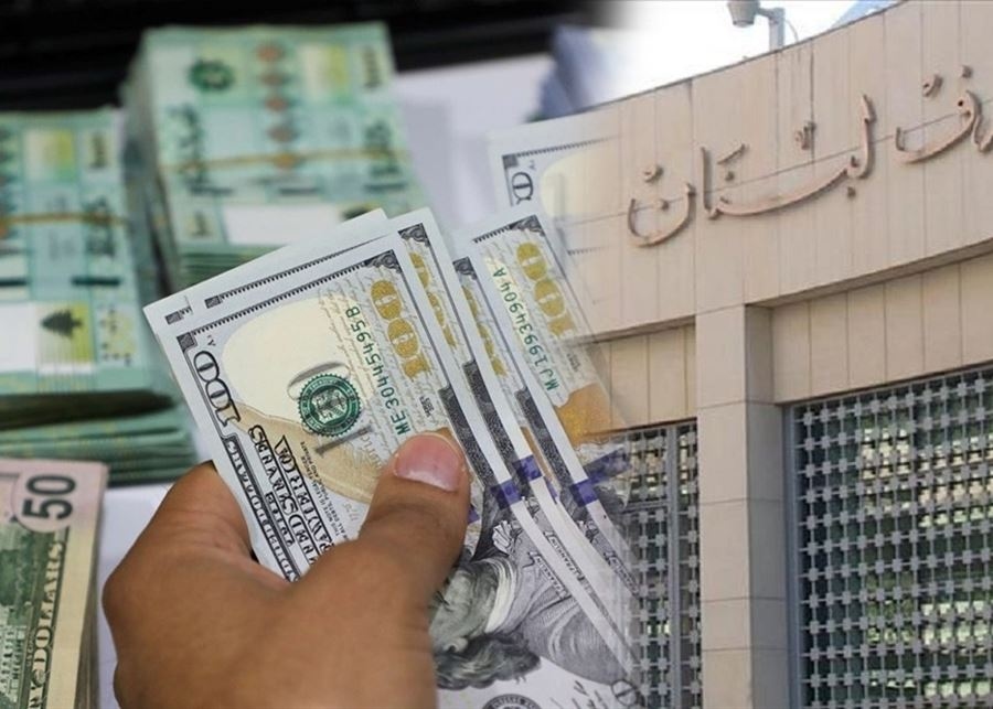 البستاني ينبُش "قبر الدعم": أين ذهب 11 مليار دولار من أموال المودعين؟