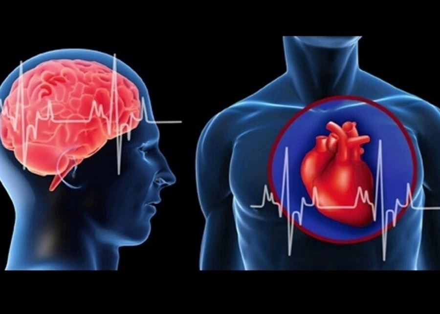 اكتشاف علاقة بين أمراض القلب والتغيرات الدماغية