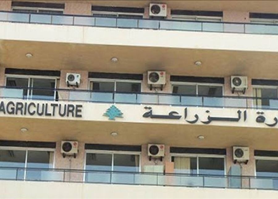 مشروع جديد لدعم مزارعي الألبان في لبنان بقيمة 4.5 ملايين دولار بالتعاون مع "الفاو" والبنك الدولي