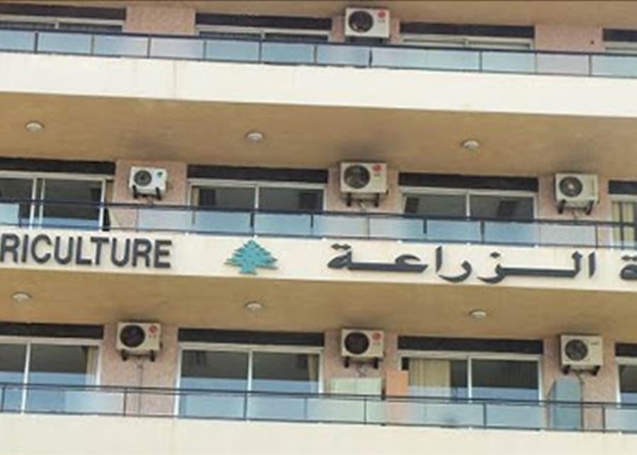 200 مليون دولار من البنك الدولي للتحوّل الأخضر في الزراعة اللبنانية: خارطة طريق للتعافي الاقتصادي وتعزيز الأمن الغذائي