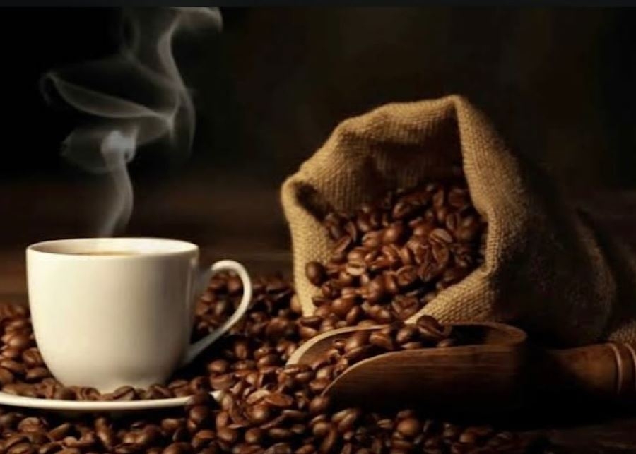 3 مشروبات تحسن الذاكرة