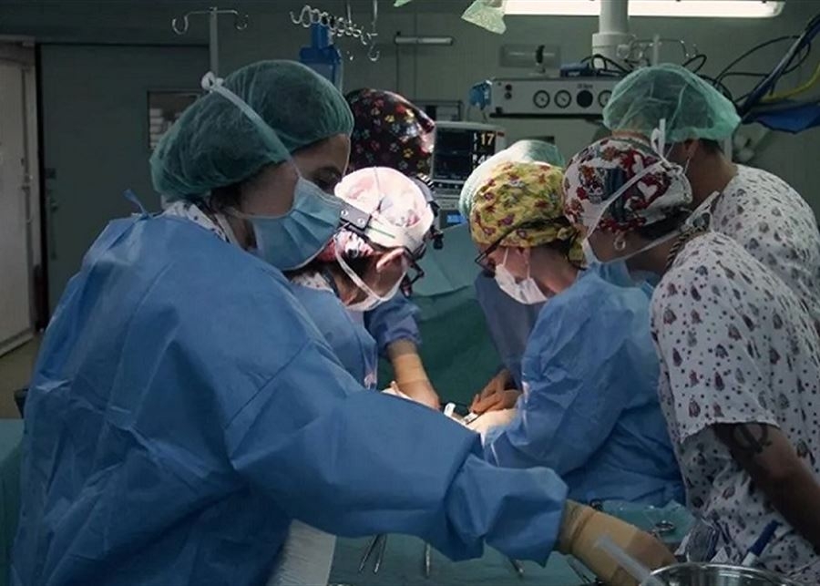 بعد 4 أشهر من زرعها.. استئصال كلية خنزير لدى مريضة