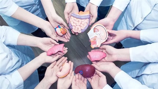 شروط التبرع بالأعضاء للأقارب وفق القانون