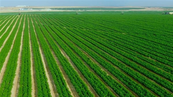 شروط تملك الأراضي في شركة الريف المصري لصغار المستثمرين