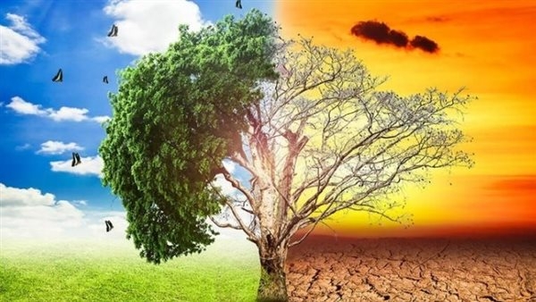 التغيرات المناخية التحدي الأكبر أمام التنمية المستدامة.. تهدد الأمن المائي والزراعة وترفع مستوى سطح البحر.. والاعتماد على الطاقة الشمسية والرياح «أبرز الحلول»