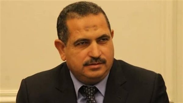 خبير يقدم روشتة إنقاذ حال اشتعال حرب تجارية ويكشف تأثير الإجراءات المضادة لرسوم ترامب على مصر