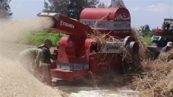 مصرع سيدة جذبها بسبب دراس القمح في المحلة