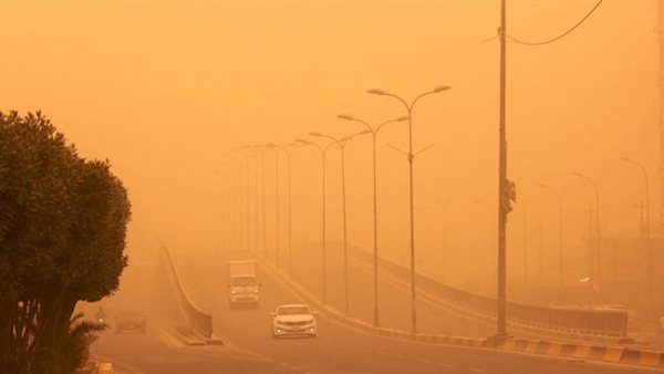 الزراعة توجه نصائح للمزارعين لتجنب مخاطر حالة الطقس الاستثنائية غدًا