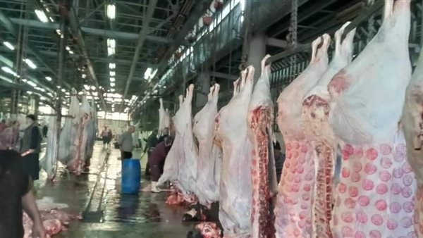 "الخدمات البيطرية" تعلن تطوير 8 مجازر في 5 محافظات ومواصلة حملات التفتيش على أسواق اللحوم