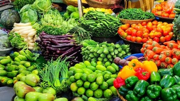 وزير الزراعة: نزرع 9.5 مليون فدان سنويا وصادراتنا تقترب من 12 مليار دولار