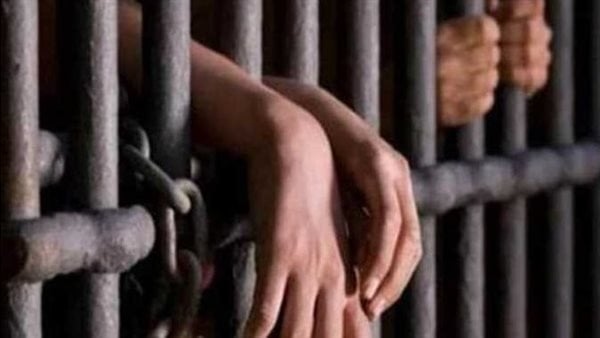 حبس 6 متهمين بتجارة المخدرات وغسل الأموال