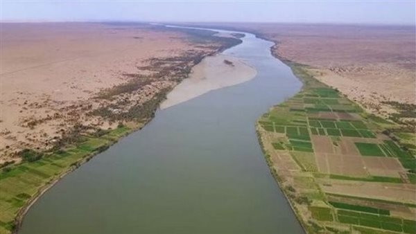 وزير الري: لا أزمة مياه في مصر رغم بعض التأثيرات الناتجة عن تصرفات أحادية