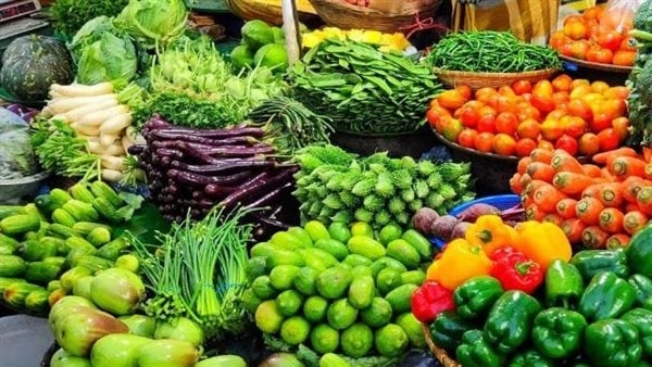 ارتفاع الصادرات الزراعية المصرية إلى 5.8 مليون طن