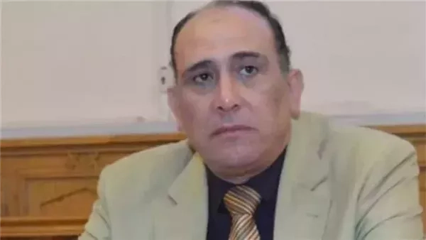 خبير اقتصادي: الرسوم الجمركية تمثل ميزة تنافسية هائلة للمنتج المصري في السوق الأمريكي