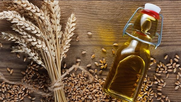 فوائد زيت جنين القمح، لصحة الجسم والبشرة والشعر