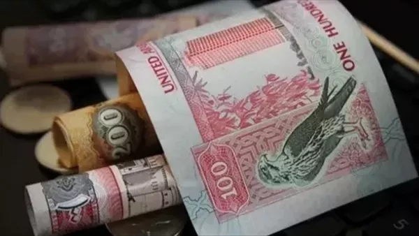 سعر الدرهم الإماراتي أمام الجنيه خلال تعاملات اليوم الأحد