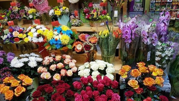 الزهور لغة المشاعر التي لا تموت.. الورد الأحمر يتصدر المشهد رغم ارتفاع الأسعار.. البوكيه الصغير يتراوح بين 350 و400 جنيه.. وهذه أشهر أنواع الورود في عيد الحب