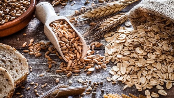 آخر تطورات أسعار الشوفان مساء اليوم الأربعاء 5-3-2025 في الأسواق
