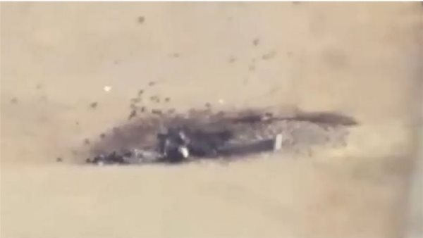 أحدث حوادث الطيران الأمريكية، تصادم طائرتين في ولاية أريزونا (فيديو)