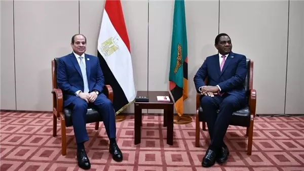 توقيع 5 مذكرات تفاهم بين مصر وزامبيا.. الإحصاء: 96 مليون دولار حجم التبادل التجاري خلال عام 2024.. ومنتجات الصيدلة والمحضرات الغذائية والسكر على رأس السلع المصدرة