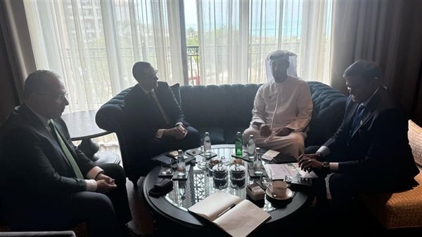 وزير الاستثمار يبحث مع وفد "موانئ دبي" مشروعات الهيئة بالسوق المصري