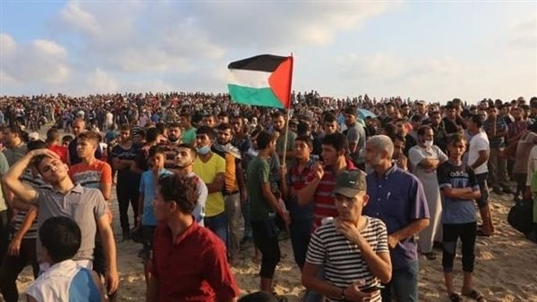 ليست منتجعا، فيديو جديد بالذكاء الاصطناعي يظهر واقع غزة ردا على فيلم ترامب