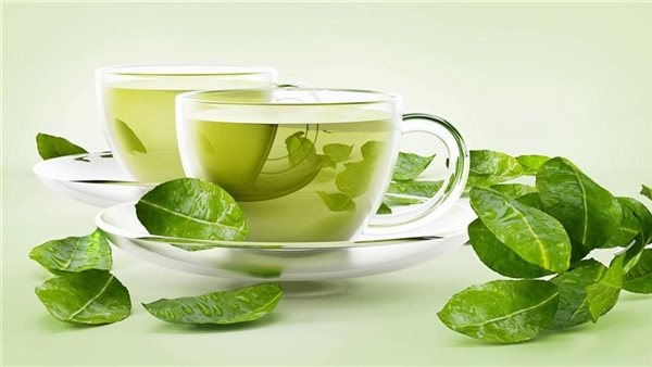فوائد الشاي الأخضر للجسم وكيف يساعد على خسارة الوزن؟